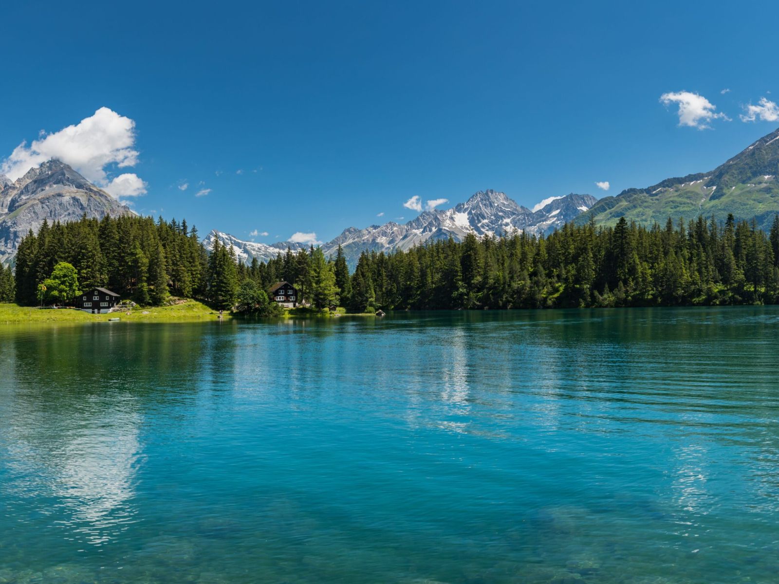 Sommerkampagne LTAG 2020